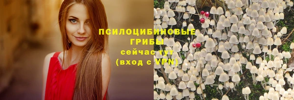 СК Абдулино