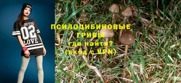 СК Абдулино