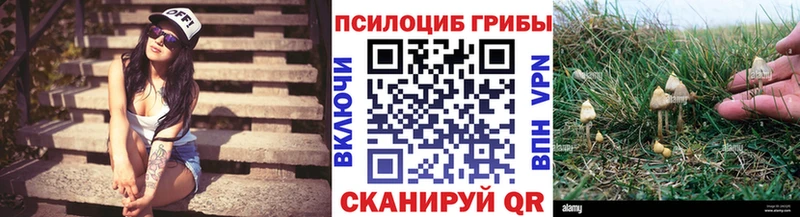 купить MEGA ССЫЛКА Галлюциногенные грибы мухоморы Каргополь